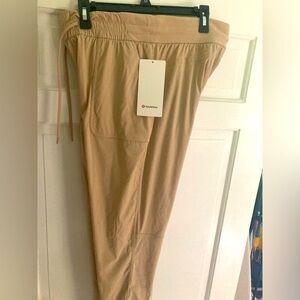 Beyond the studio jogger